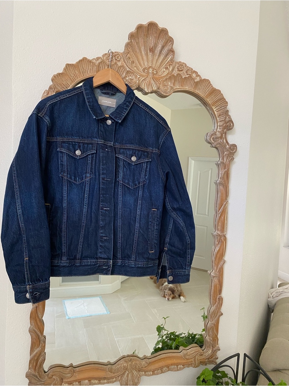 Everlane Denim Jacket